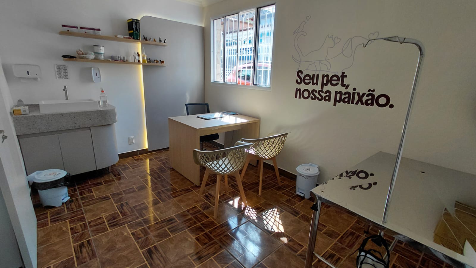 consultorio-caes