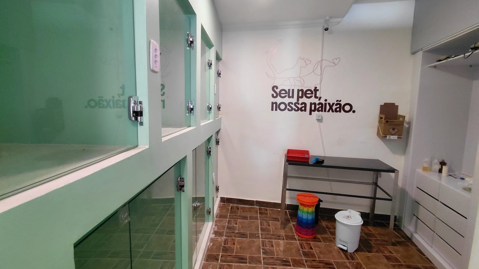 internacao-caes